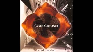 Decisions, Decisions, Cyrus Chestnut