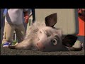 Over The Hedge Ozzie Plays Dead 2006