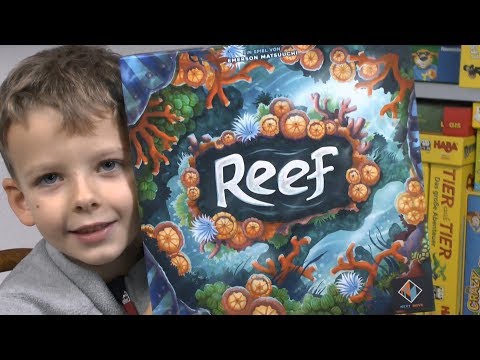 Reef (Next Move bzw. Pegasus Spiele) - ab 8 Jahre - ideal "nur" mit Kindern?