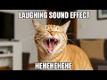 Cat Laughing Meme Sound Effect