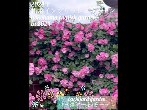 2024 年ドイツ ガーデン ブック賞 ライフスタイル