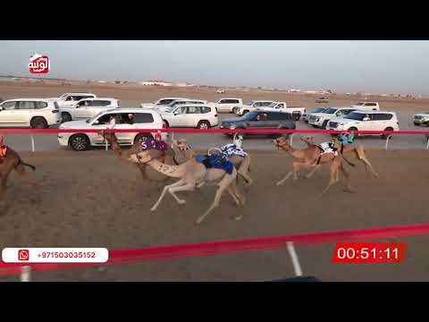  ش 7 (الشاهينيه) لـ سهيل بن نخيرات العامري 2:20:60 , شارة الصندوق 2026/03/14 فطامين الوثبة