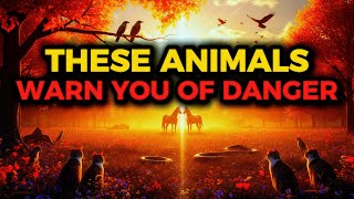 7 Animals God Uses to Warn His Chosen Ones | Spiritual Signs of Danger