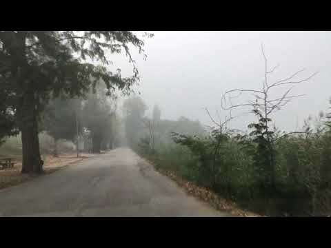 Roadtrip in Portugal: Reveles a Louriçal, 11/9/2020