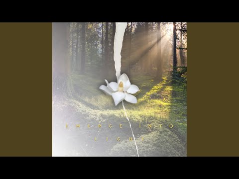 Emerge Into Light