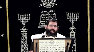 הוריות דף י"ב ע''ב ¤ הרב נתנאל אברז'ל ¤ בית הכנסת "בית מרדכי" (מוסדות תורת דוד) - התמונה מוצגת ישירות מתוך אתר האינטרנט יוטיוב. זכויות היוצרים בתמונה שייכות ליוצרה. קישור קרדיט למקור התוכן נמצא בתוך דף הסרטון