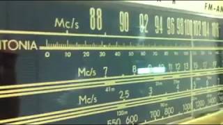 Taterka Eletrônica Vitrolas Valvuladas Organon e aquarela .