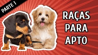 MELHORES RAÇAS PARA APARTAMENTO