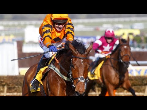 Cheltenham Festival hero Cause Of Cause retires