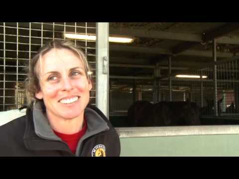 Emirates Stakes Day preview - Justine Hales Waller Stable