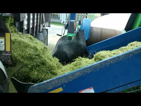 Bagging Barley @ Stone Lane Farm