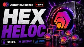 HEX HELOC? | HEX Bond Market Update | Actuator.Finance