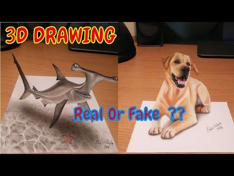 3D Drawings On Paper To Confuse People By Nikola Čuljić