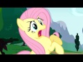 My Little Pony FlutterShy-YAY! 