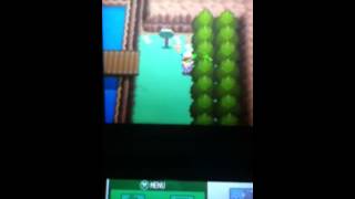 Head butting trees in soul silver