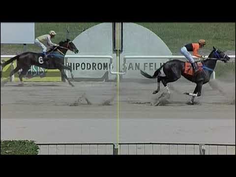 CARRERAS SINT PAYSANDU- 211209 c02- 1° MISTER REPORT