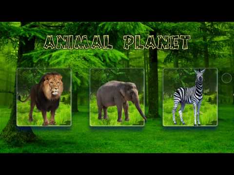 Animal Planet - 3D, VR, 360 Video