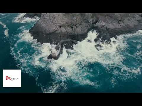 Sk Kabiruddin KABIRA MUSH...