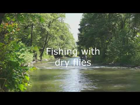 download lagu mp3 mp4 Romania Fly Fishing, download lagu Romania Fly Fishing gratis, unduh video klip Romania Fly Fishing