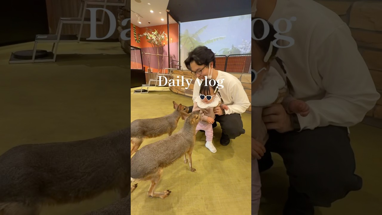 【daily vlog】ついに念願叶う😭🙏 #1歳0ヶ月 #赤ちゃん