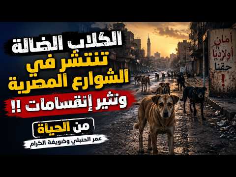 الكلاب الضالة تنتشر في الشوارع المصرية وتثير إنقسامات !! من الحياة عمر الحنبلي وضويفه الكرام