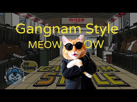 PSY - Gangnam Style (MEOW MEOW)