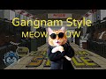 PSY Gangnam Style MEOW MEOW