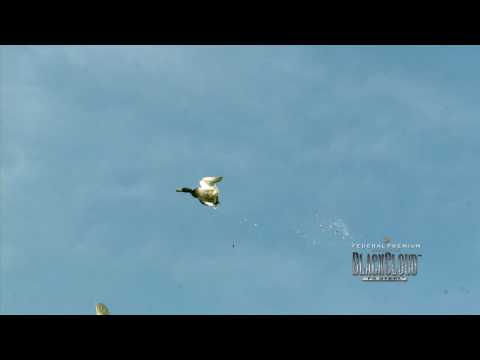 Black Cloud High Velocity...Devastating Results!