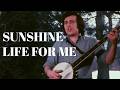 Don McLean - Sunshine Life For Me (Sail Away Raymond)