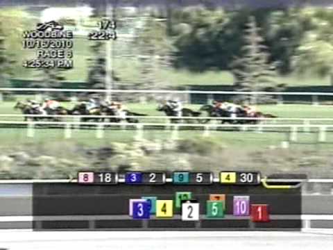 2010 Nearctic Stakes