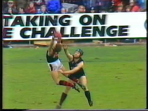 1984 Essendon v Carlton Round 19 Princes Park