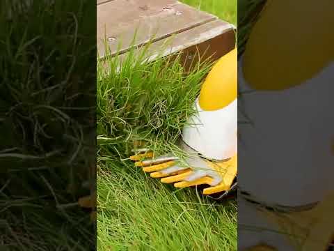 芝生用ハンドスカリファイアー トピックス