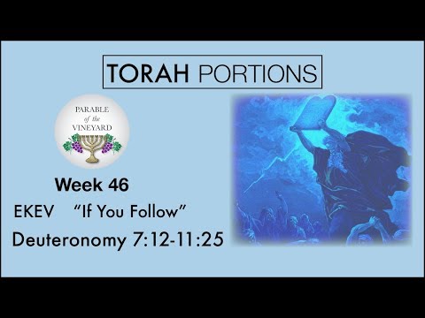 Torah Portions - Week 46 - EKEV | עֵקֶב l “If You Follow” - W/ Parable of the Vineyard