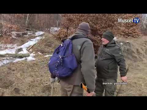 Jurnal MUSCEL TV 20.02.2023 Lucrători silvici agresați la Dragoslavele