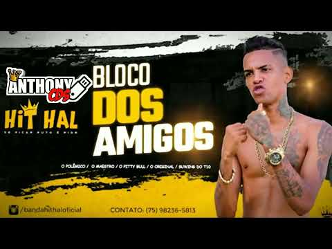 HIT HAL - BLOCO DOS AMIGOS - MUSICAS NOVAS - MEDIOS NA LATA | MEDIOS GRAVE