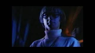 Monkees - Star Collector