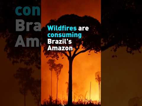 Wildfire consumes Brazil's Amazon