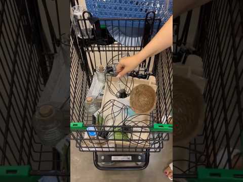 Dollar Tree encontra #dollartree