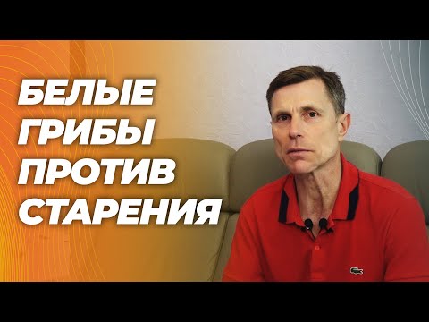 Эрготионеин-в белых грибах повышает спортивные результаты, улучшает функцию митохондрий. Эрготионеин-в белых грибах повышает спортивные результаты, улучшает функцию митохондрий.