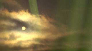 Austin Cesear - Easy Bend