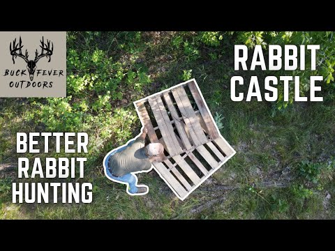 How to Build a RABBIT CASTLE | INSTANT Rabbit Hunting SUCCESS