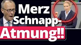 Wumms: Alice Weidel lässt die gesamte CDU hochgehen!