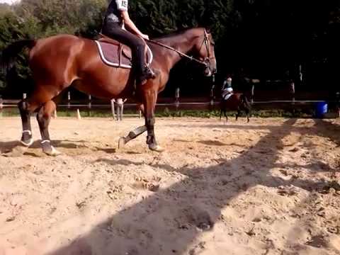 Cour + chute 04/10/14