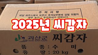 씨감자 수미 괴산감자 감물감자 입고 불정농협 공급 자연특별시괴산 자연울림 [감자재배방법]