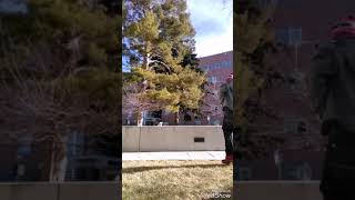 KnuckleRed Freestyle- B.O.B -Millionaire