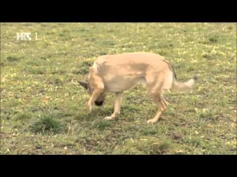 udruga Ljubav na djelu - humanitarno djelovanje