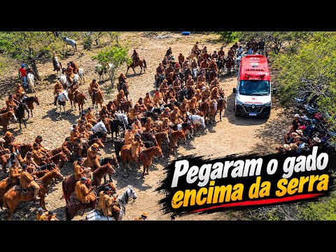 Pega de Boi da Fazenda Serra Branca - Andorinha/BA