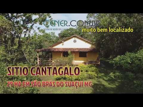 Cener Imóveis 3021 Bela fazendinha de 29 ha por 1 500 mil em São Brás do Suaçui MG