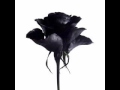 It's Better to Have Loved (Guy Sigsworth Mix) | Temposhark