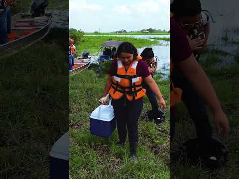 Brasil, aqui tem SUS - 7ª Temporada - Pracuúba (AP)